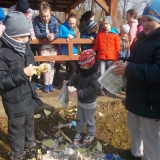 zdjęcie_421