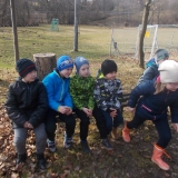zdjęcie_439