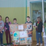 zdjęcie_550