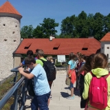 zdjęcie_875